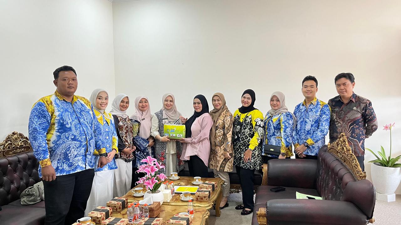 Kunjungan ke DPMPTSP Barito Kuala